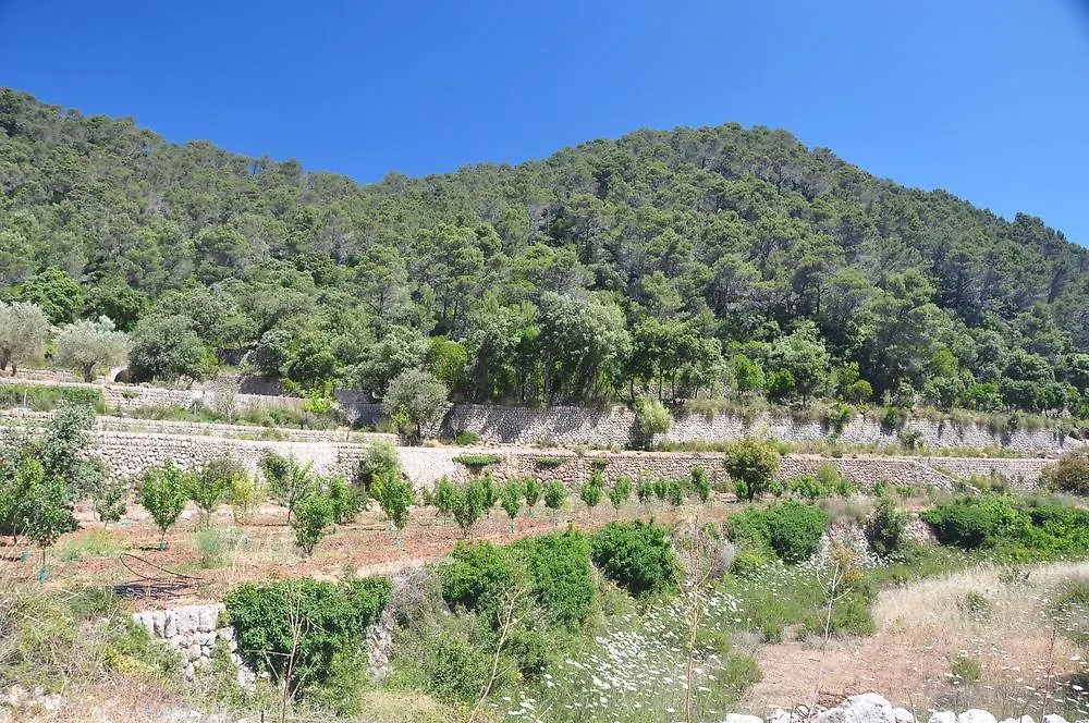 Country house Sa Campaneta Agroturismo Guest House Puigpunyent